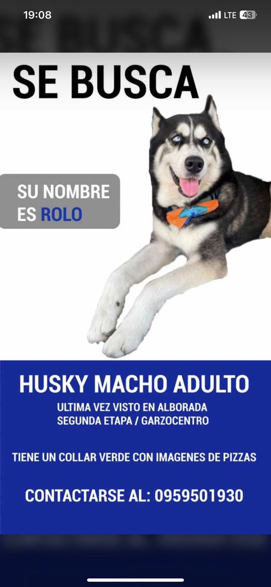 rosalesraquel21's tweet photo. Este sujeto está vendiendo el perro de mi amigo por favor no comprarlo y comunicarse con nosotros! Es venezolano y lo está ofreciendo por la Kennedy, urdesa y todo el norte! Por favor difundir @RescateAnimalEC @EmergenciasEc @MrLinkEc  responde al nombre de Rolo! https://t.co/tvieIVQOC3