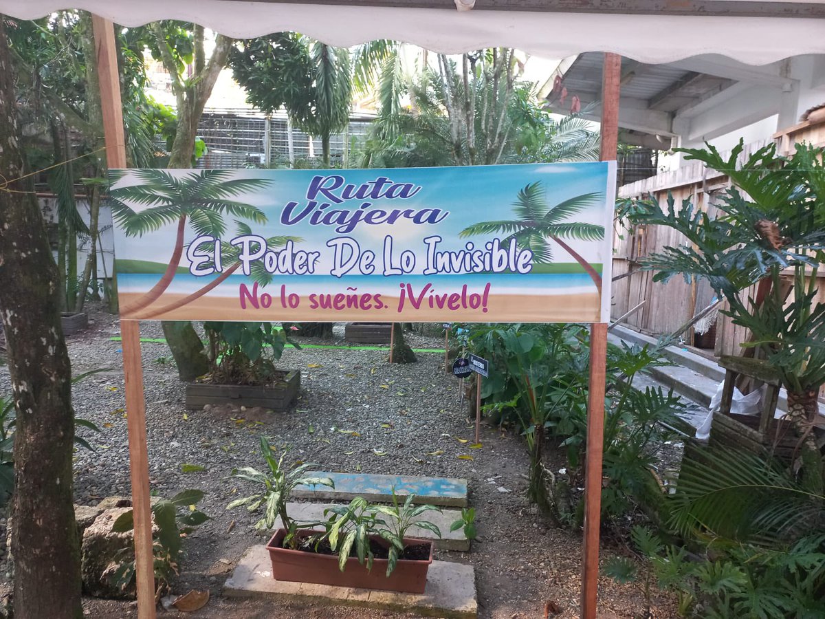 PaulaMorenoZ's tweet photo. #ElPoderdeloInvisible cumple cinco años, muy agradecida por esta exposición de las Mariposas de Amor en la Escuela Taller de Buenaventura. Las comunidades siguen re-escribiendo y mostrando su poder visible. https://t.co/U5P90aV5da