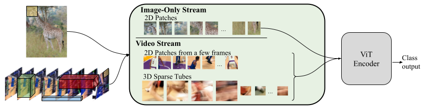 Learn how we turned a Vision Transformer image encoder into an efficient video backbone using sparse video tubes (3D grid-based cuboids with learnable visual representations of video samples), reducing compute needs and achieving competitive results → goo.gle/435CTYQ