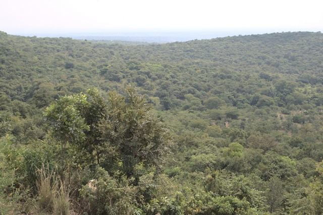 UgandaSafa81912's tweet image. ☻Semuliki is a park for the tropic lovers ▲ ugandasafariadventure.com/safaris/destin…♦ 
#TravelAddict #MyTravelStory #landscape #RestingBeachFace #TravelFamily