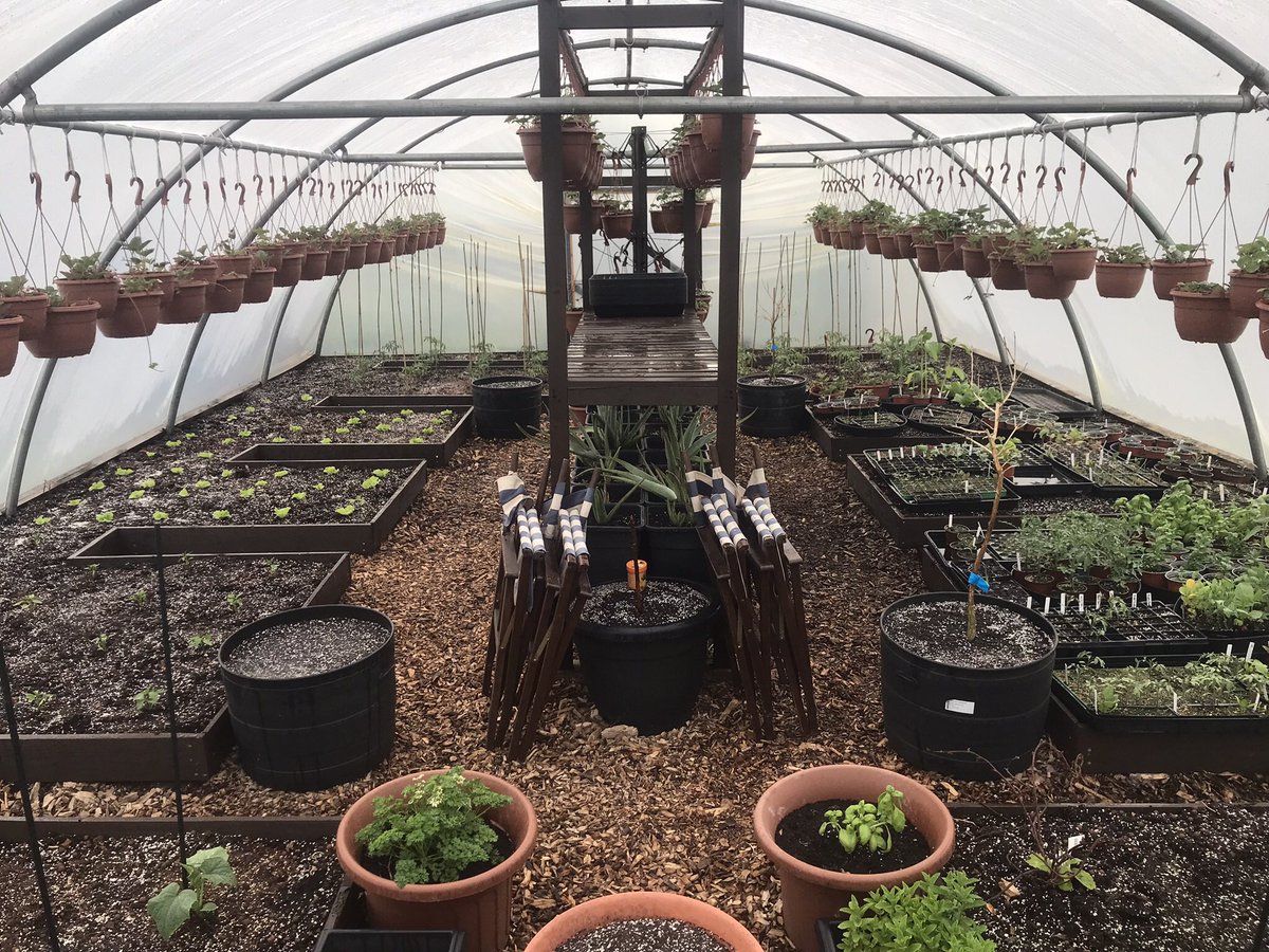 We have finally completed our Polytunnel and it’s looking great and full of veg!! 🌱🥒🌶🥬🥕🍆

#allotment #allotmentlife #growyourown #gardening #growyourownfood #allotmentuk #garden #homegrown #kitchengarden #allotmentlove #allotmentgarden
