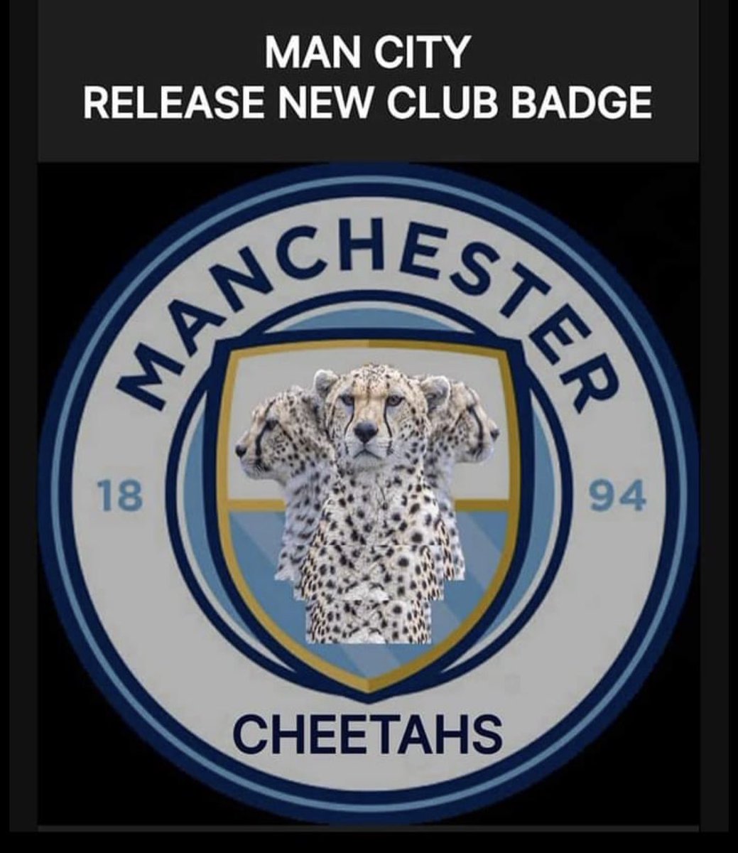 @ManCity  your new badge #mancity