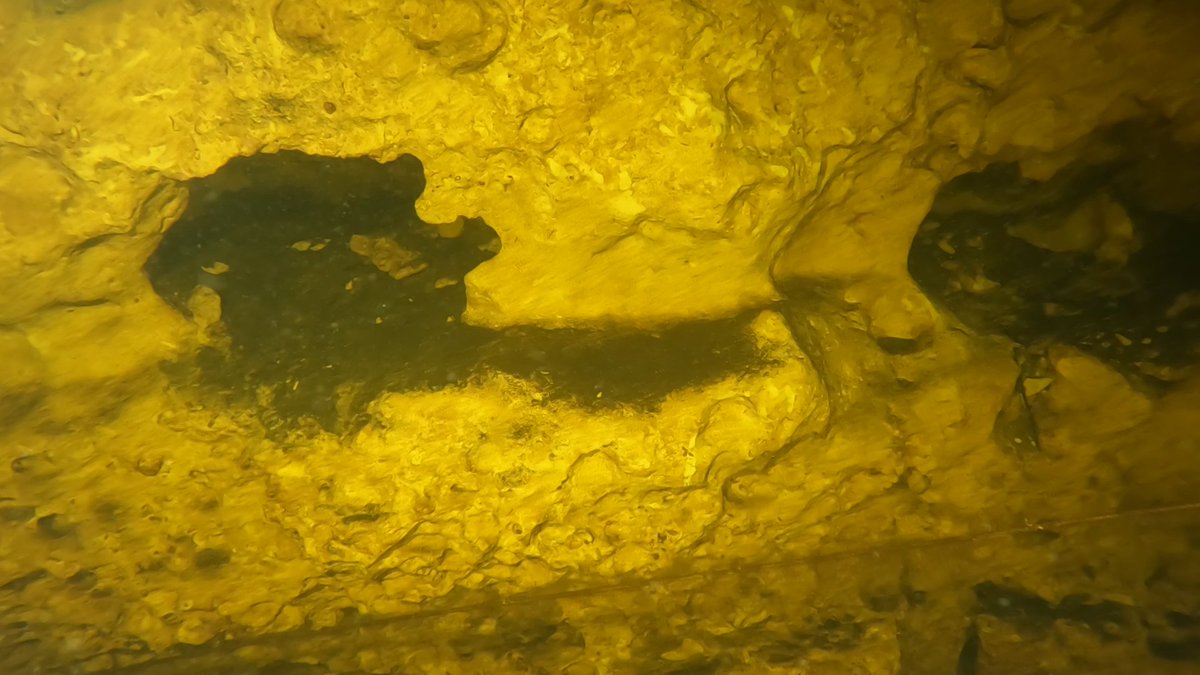 RoboPI (Robot Perception and Intelligence) Group tweet media