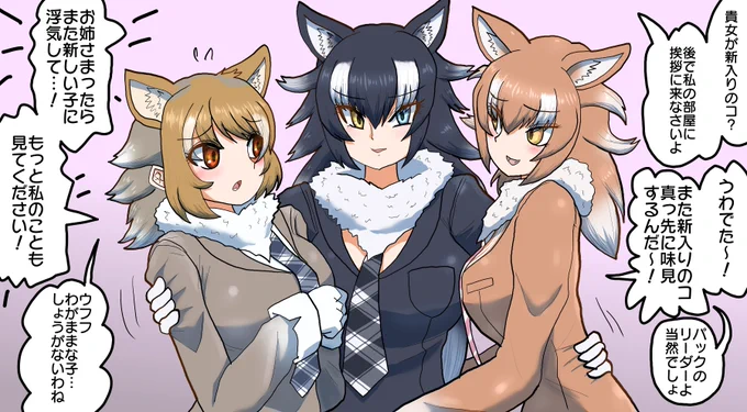 群れのリーダー  色々好きにしているオオカミの群れのリーダーです