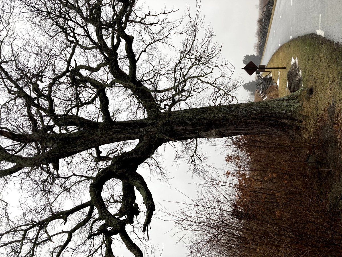 skepticalsharp's tweet image. 