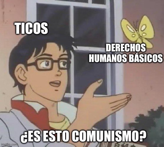 Meme Amplio (@memeamplio) on Twitter photo 