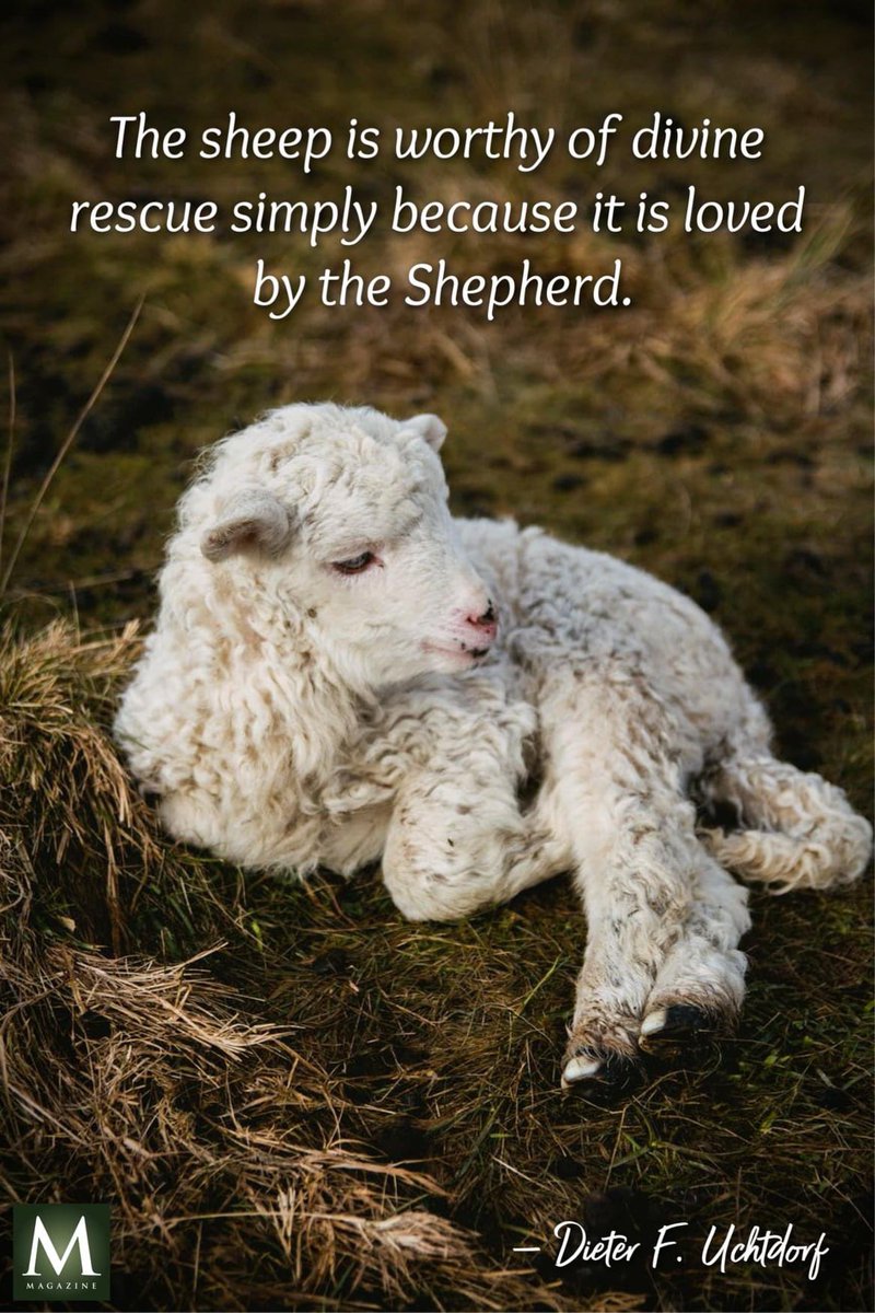 “The sheep is worthy of divine rescue simply because it is loved by the Shepherd.” ~ Elder Dieter F. Uchtdorf

#HearHim #TrustGod #GodLovesYou #ComeUntoChrist #CountOnHim #EmbraceHim #ChildOfGod #ShareGoodness #TheChurchOfJesusChristOfLatterDaySaints