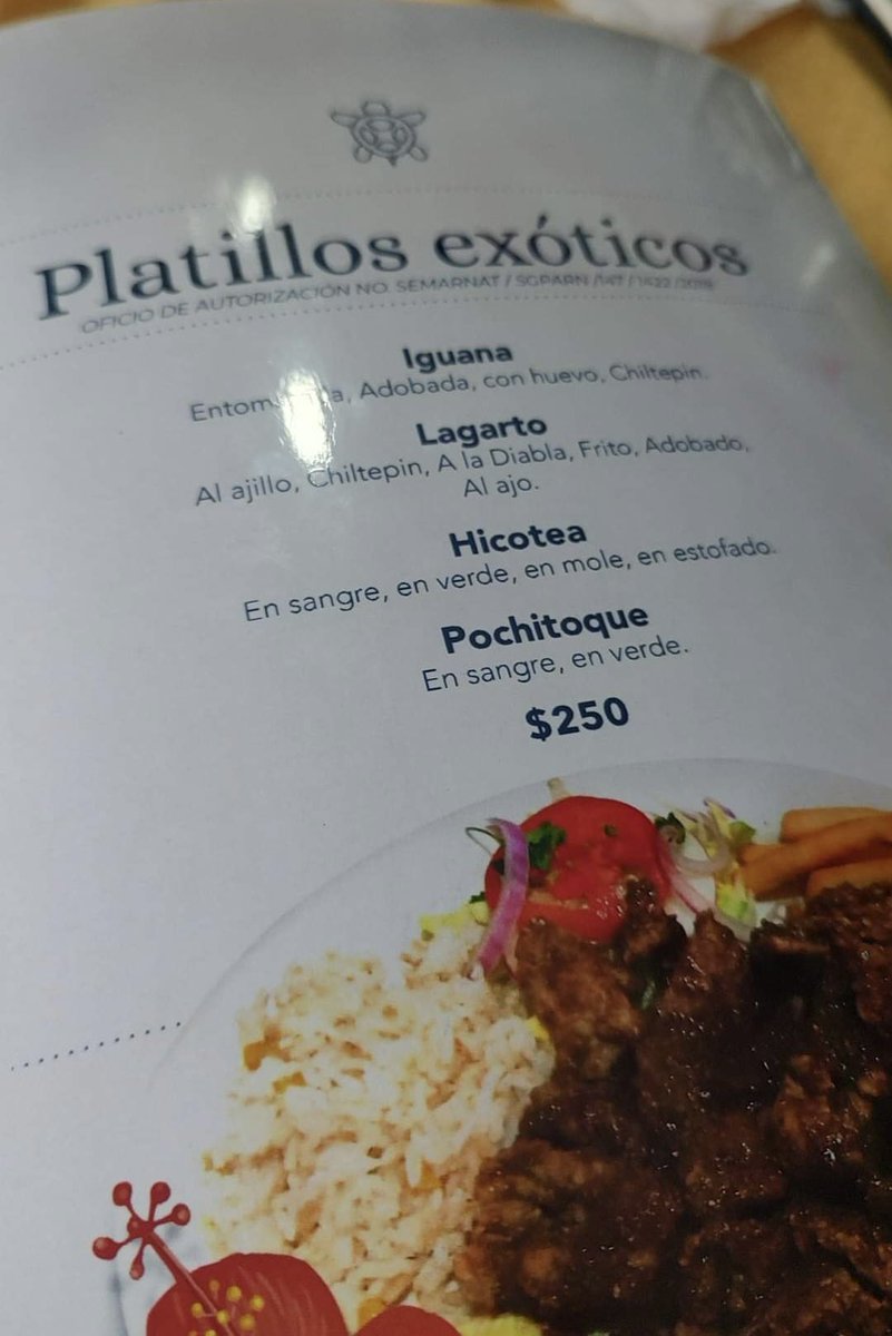 #Tabasco| Venden platillos "exóticos" en #Nacajuca, esto con permiso por parte de la SEMARNAT.