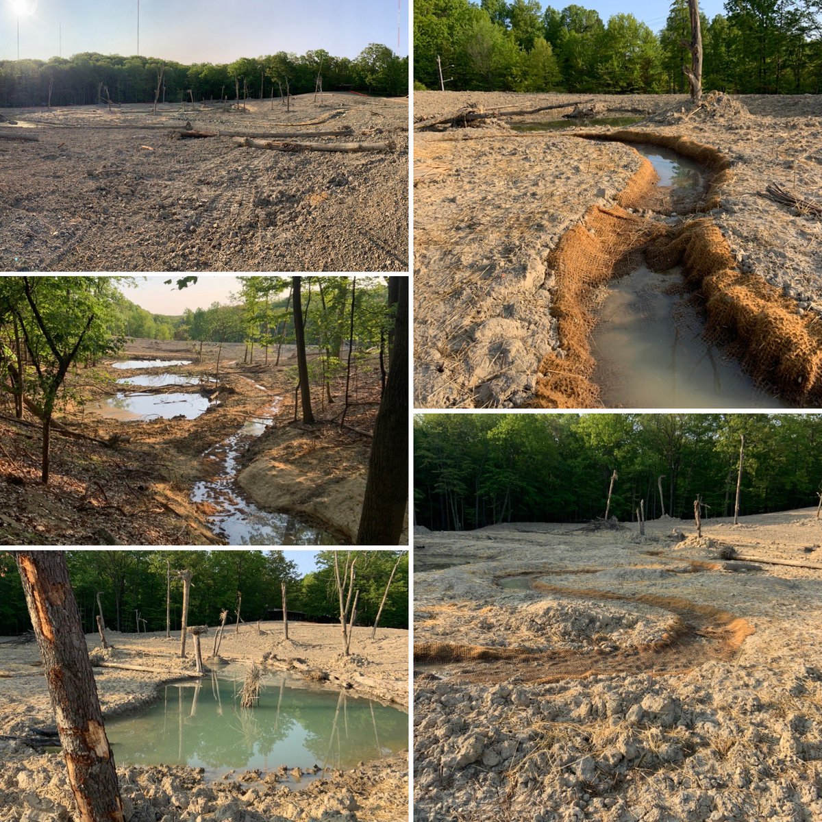 west_creek's tweet photo. #restoration
#ProtectRestoreConnect
Proud to see these transformative initiatives hit the ground https://t.co/1ZLfr9wwOr
