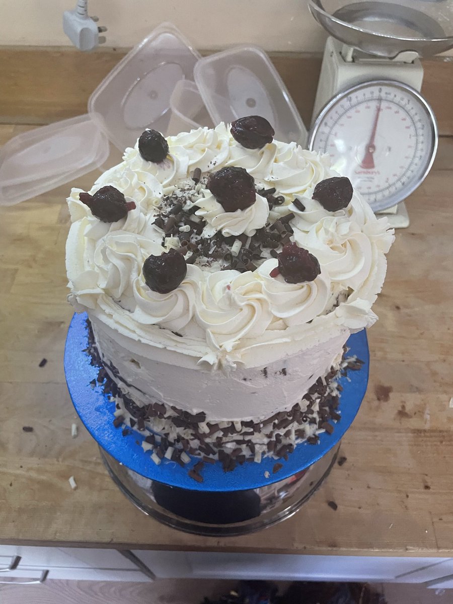 Rachael Taylor tweet media