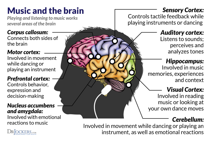Please reTweet to raise awareness about the power of #music on the #brain.

#neuroscience #Alzheimers #dementia