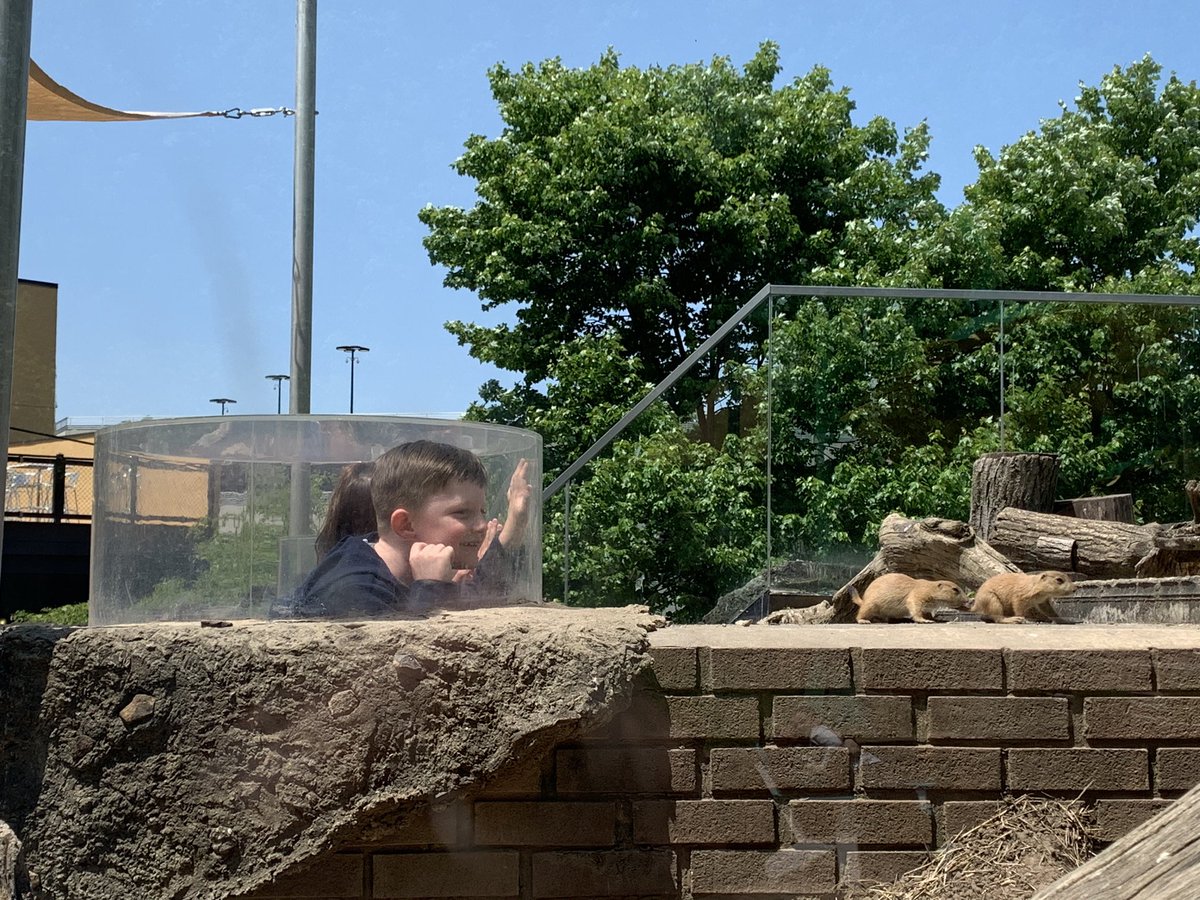 We made some friends with some prairie dogs at the Turtle Back Zoo! Wouldn’t mind these cuties visiting us at school! #Hubbard_school