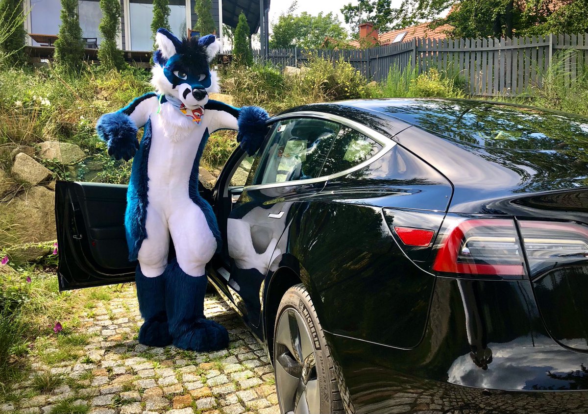 Fursuit + what I drive 🔋