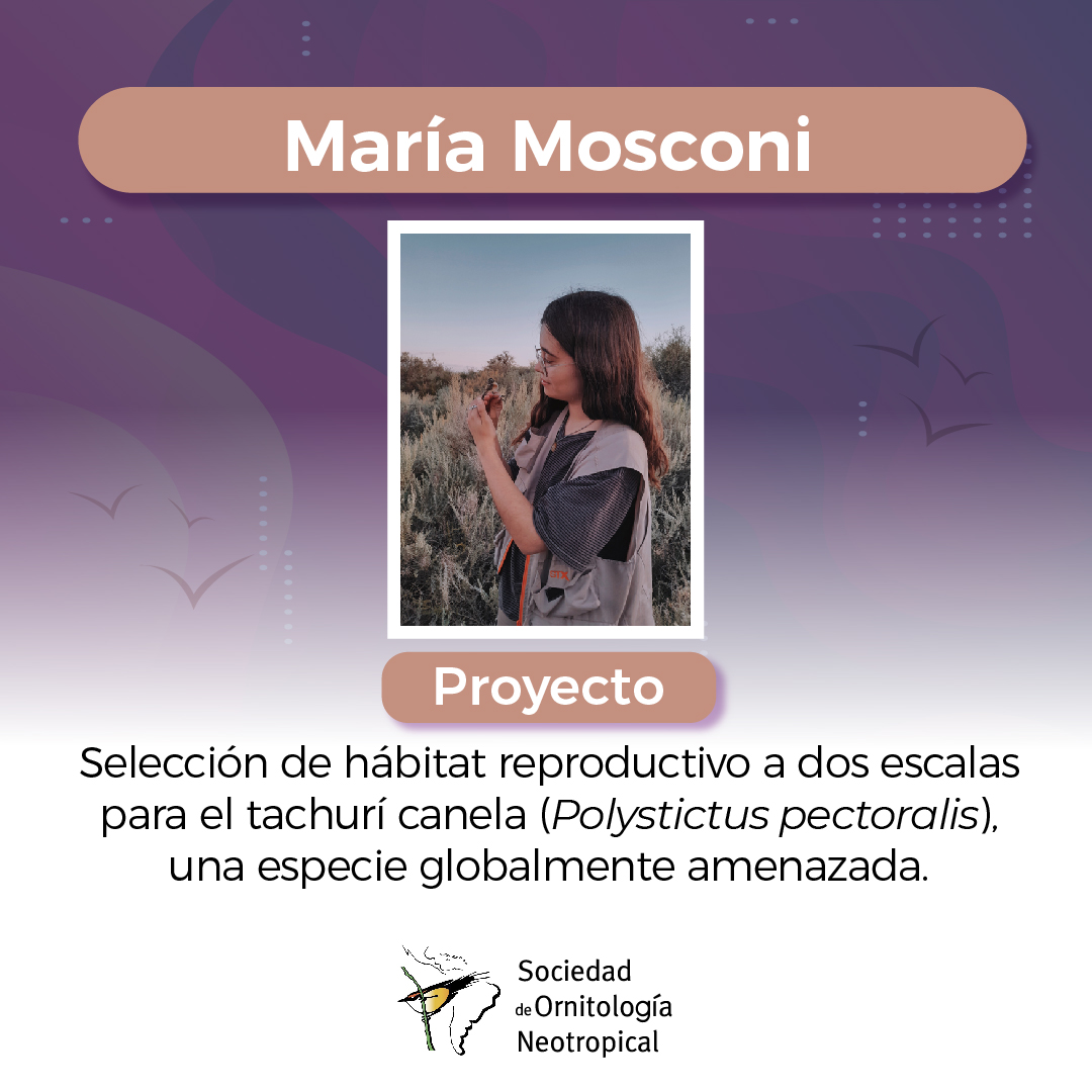 ¡Felicitaciones María Mosconi! Ganadora de la beca de pregado del FRANÇOIS VUILLEUMIER FUND. #Argentina  

#Science #Ornithology #Ciencia #Ornitología