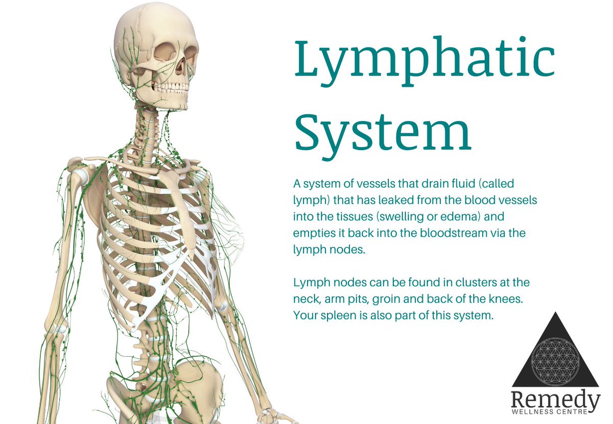 RemedyWellness1's tweet photo. NEW RMT Offering Manual Lymph Drainage - https://t.co/emAryv6ReR https://t.co/q7Jadf0kxb