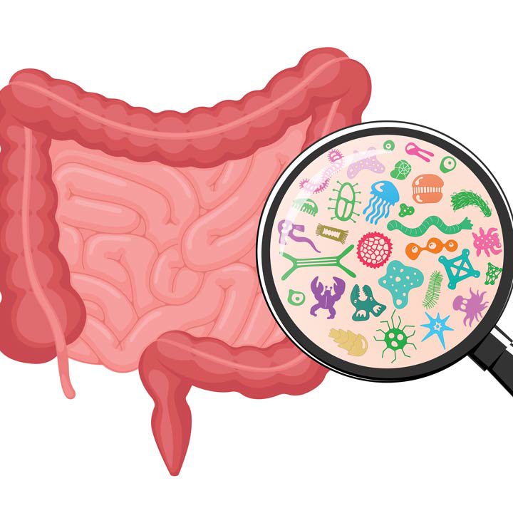 👁 The study of gut microbiota  in patients with metabolic-associated fatty liver disease and type 2 diabetes mellitus.
#diabetes #steatometry #elastography #gut #microbiota 
👇🏻 To check out the results of the study read the full text article online:
mspsss.org.ua/index.php/jour…