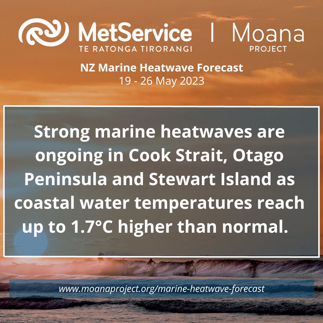 Marine heatwaves are ongoing around the country as coastal water temperatures are warmer than normal for this time of year.

Find out more at moanaproject.org/marine-heatwav…

#Marineheatwave #MoanaProject #OceanTemperatures #OceanForecasting