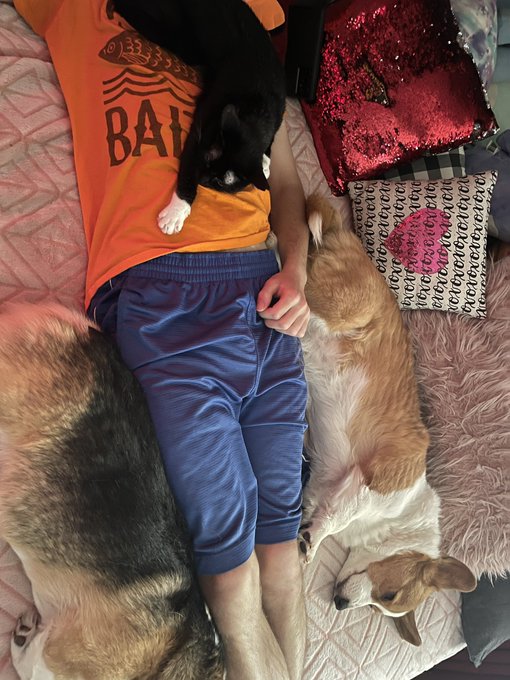 When your pets love your costar more than you. https://t.co/bmwBI6xVyd<a href="/tag/mvsales"class="tags"><span>#mvsales</span></a>