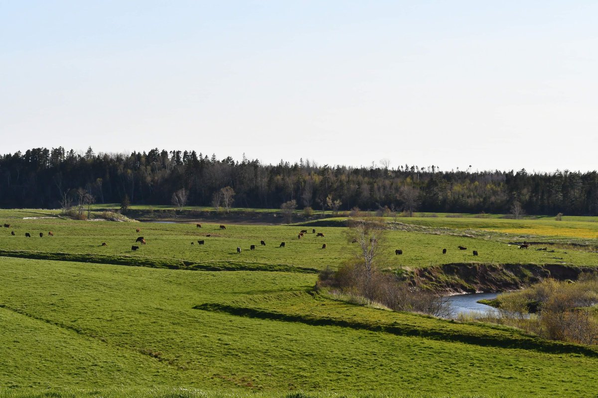 Robert Cooper tweet media