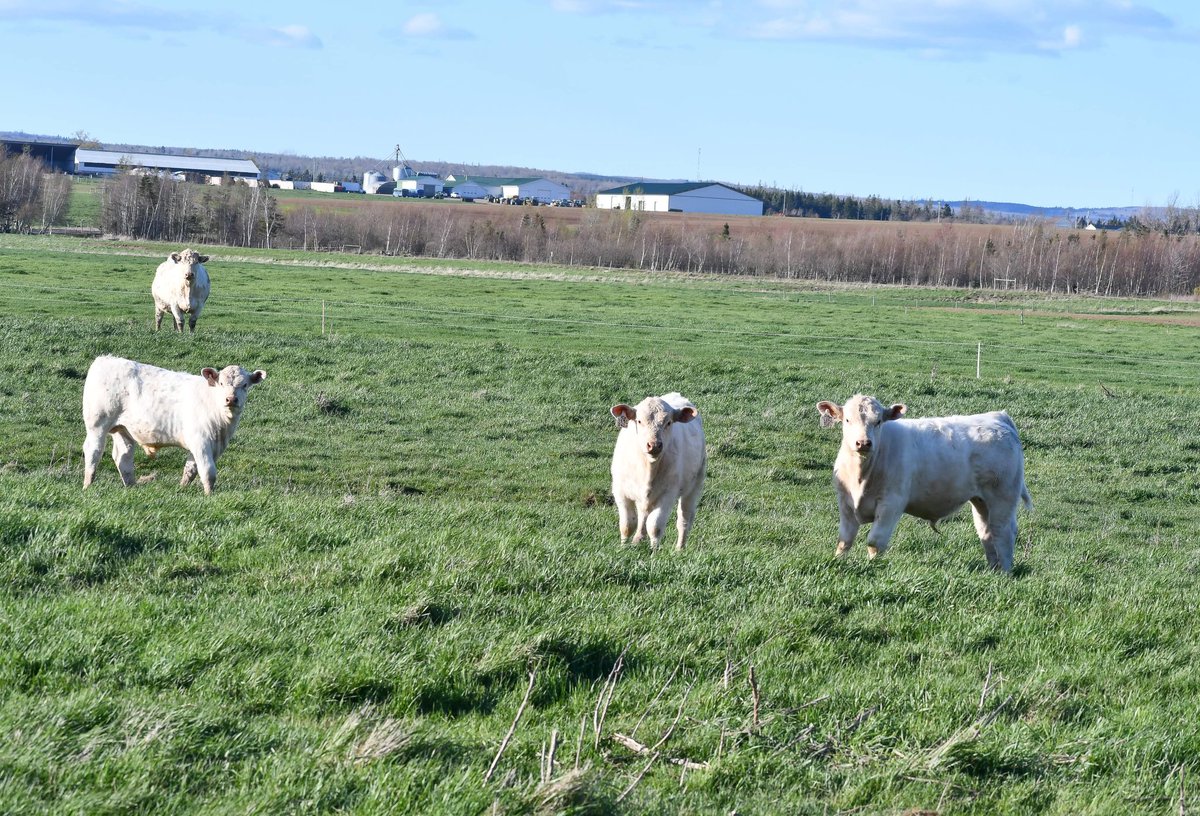 Robert Cooper tweet media