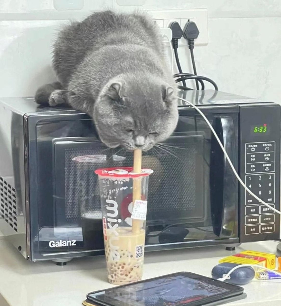 bib 🐥☕️ now on VGen! (@kapebeansies) on Twitter photo 