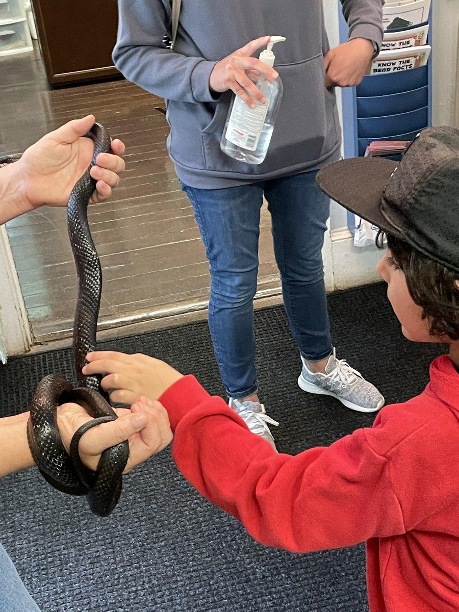 1stGilmour's tweet photo. A wonderful field trip!  Thank you Rancocas Nature Center!
@SharpBulldogs https://t.co/7lAt9ePCPr