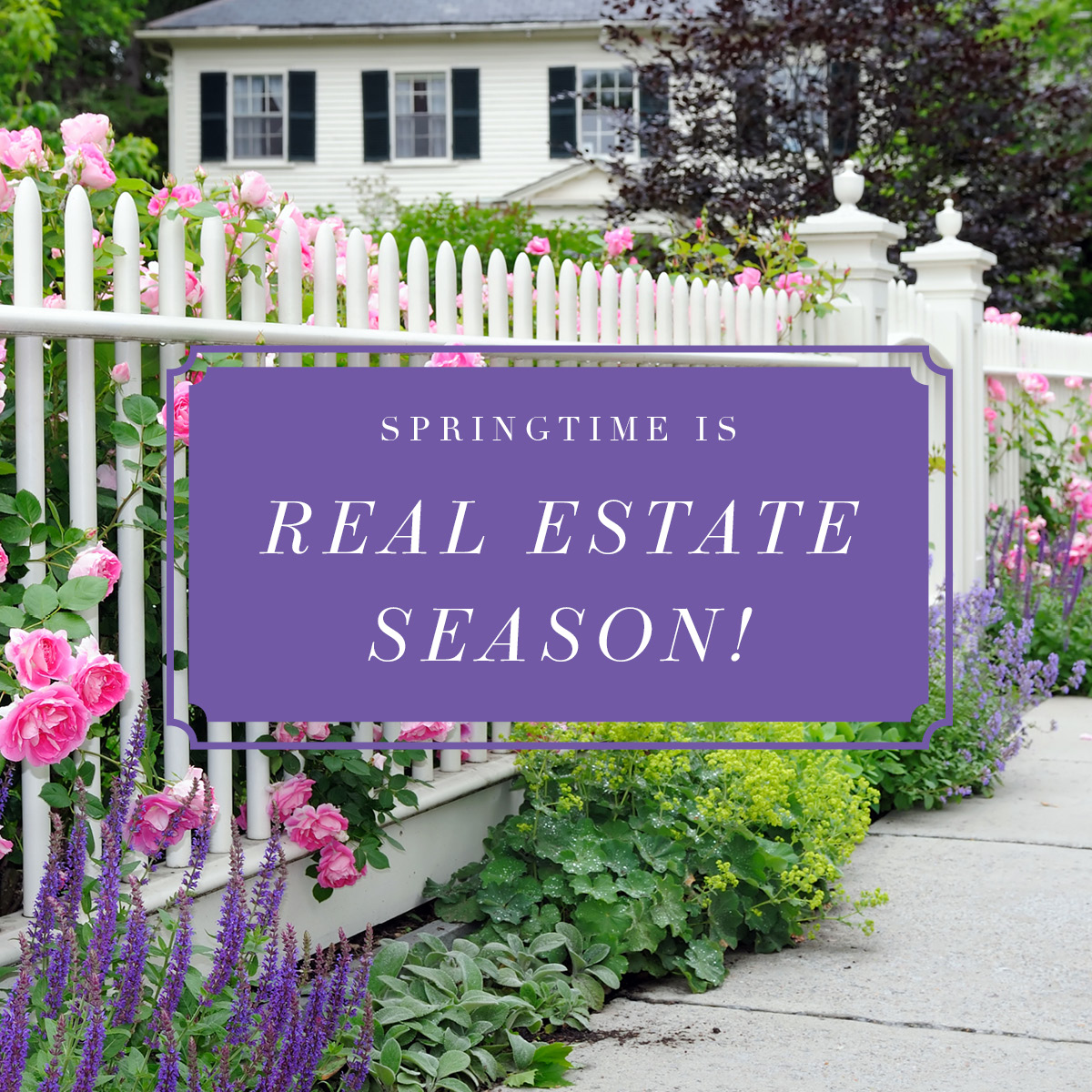 TheDenson's tweet photo. Springtime is the perfect season to showcase your home's best features. Contact us at 707-625-5332 to learn more about our home staging services. 

#springhomeselling #realtorlife #homesforsale https://t.co/pNy0HUqnr3