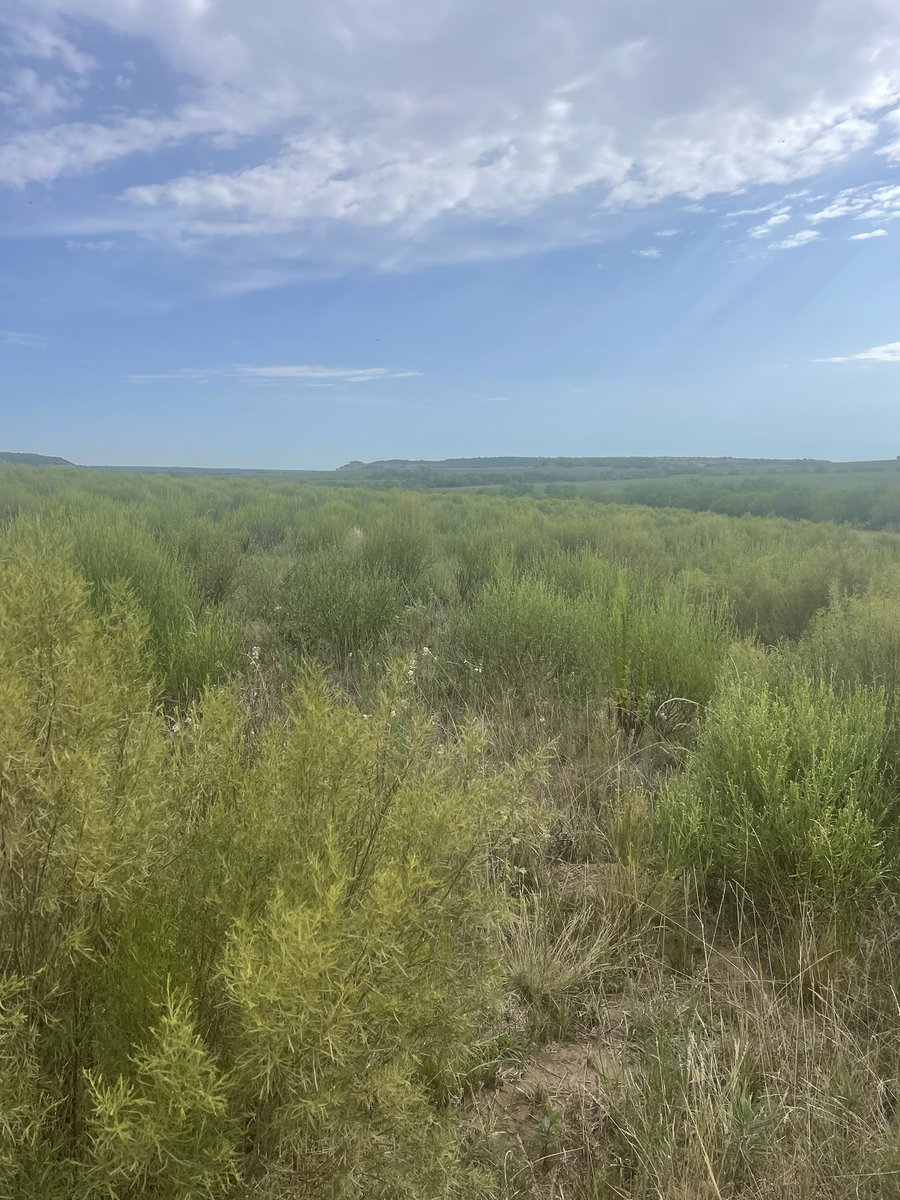 Felipe Andriolo tweet media