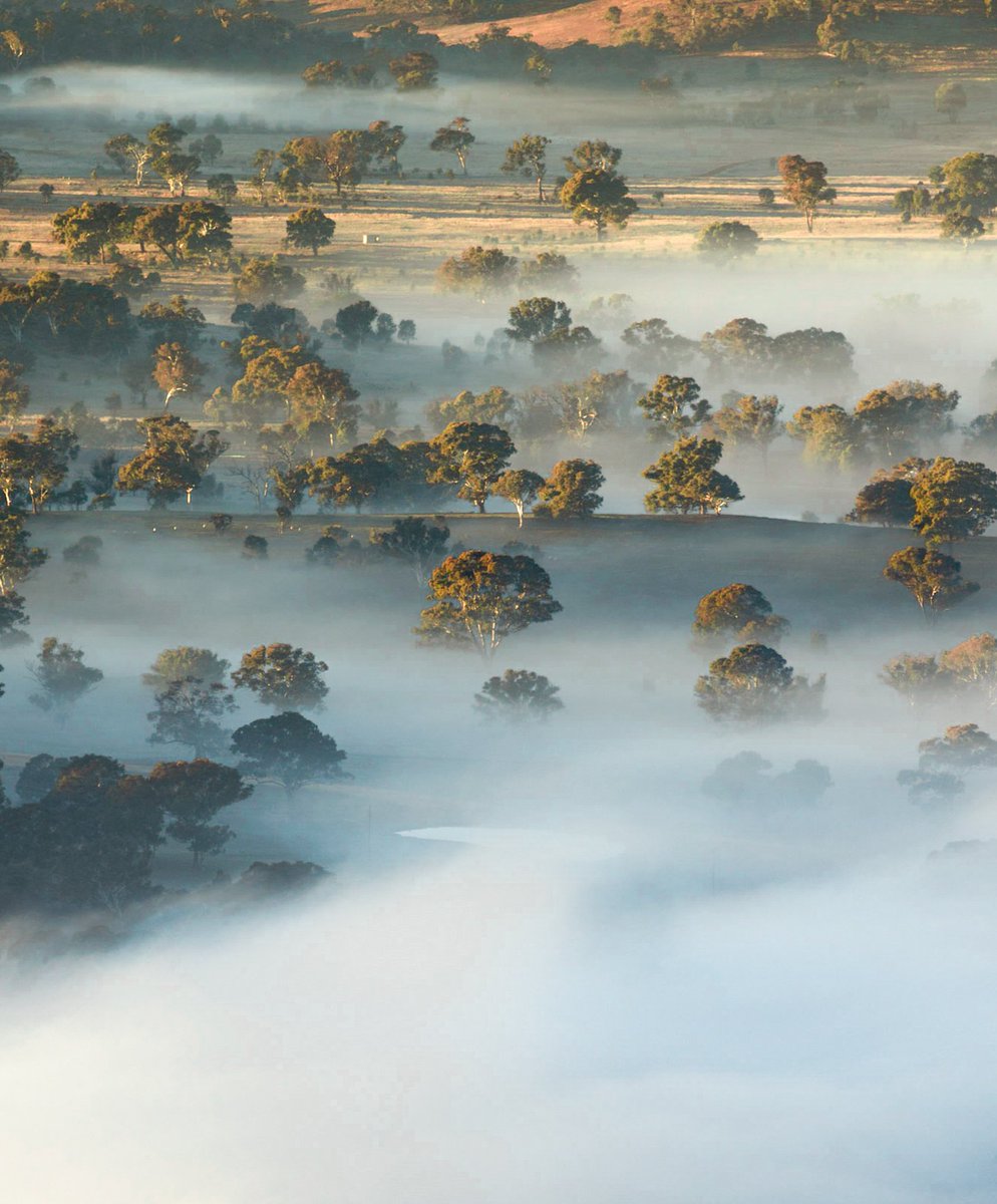 - 4 degrees foggy mornings are the best mornings.
Happy Friday.
💚🧡💛
.
.
.
#flashbackfriday #freezing #fog #sunrise @visitcanberra @Australia #viewfromthetop #hike
