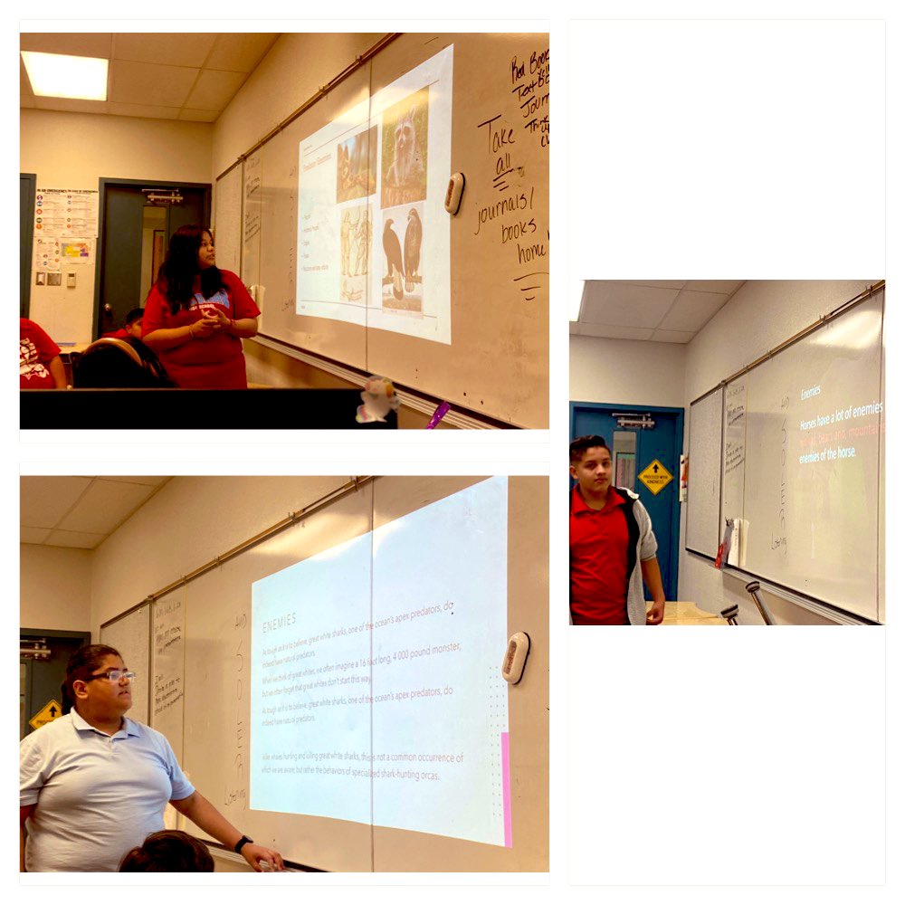 msdelgado_4's tweet photo. The first “Spirit Animal” classroom presentations have gone well, our Bulldogs were detailed and thorough in their explanations. They even answered questions from the audience! Way to go!👏🏻🌟👍🏻 #teamsisd https://t.co/SJOQupmnUk