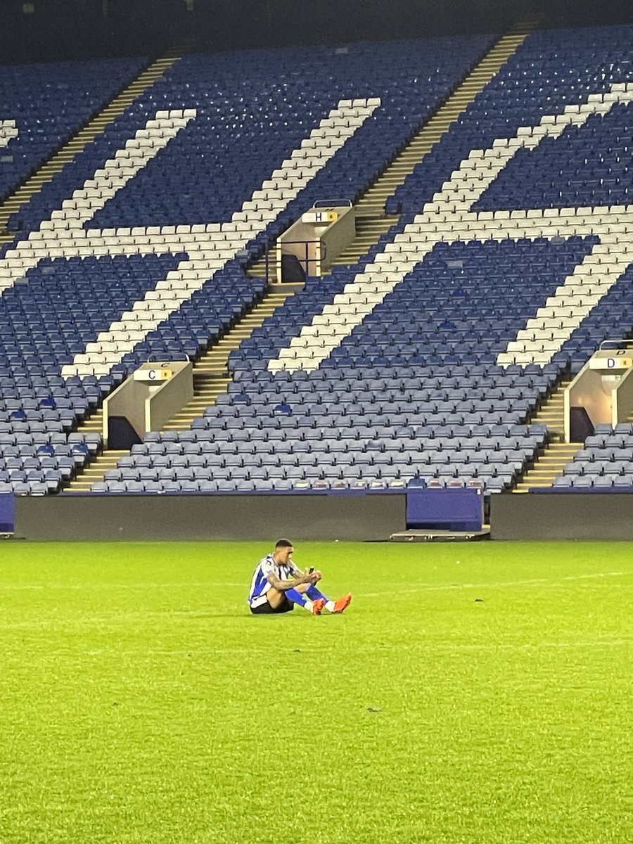 Ozzie Owl 💙 tweet media