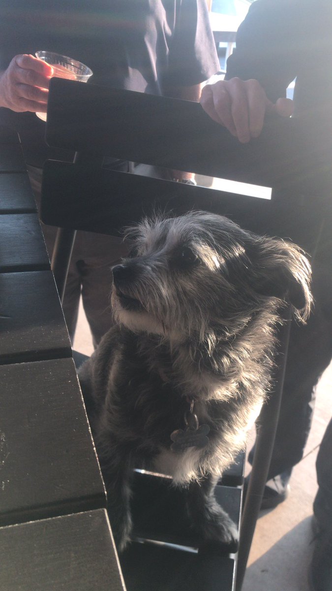 my_shwag's tweet image. Who let the dogs out ? 🤧👑👑 #xfinitylive