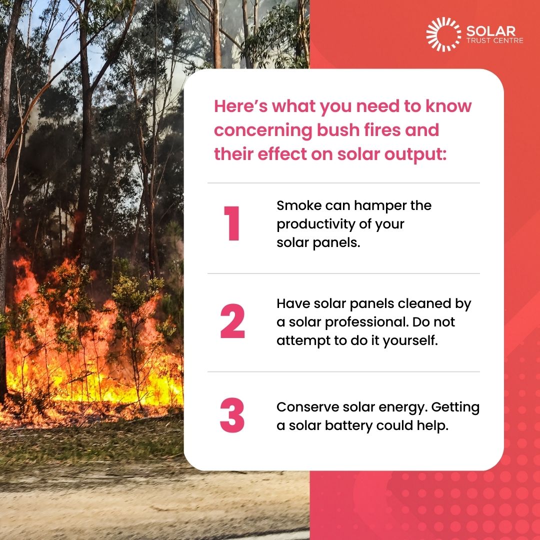 solartrustcentr's tweet photo. For more tips, read our blog: https://t.co/1gl9NzvFOU 

#STC #Solar #SolarAdvise https://t.co/LWU201LCoN