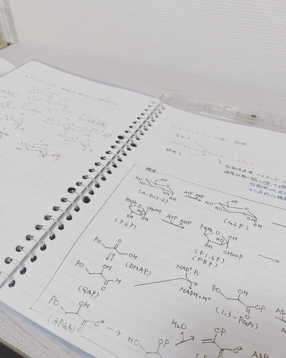 chnone_biochem's tweet photo. 糖質代謝のお勉強
〜デンプンの分解と解糖系〜 https://t.co/pvi4hKks81