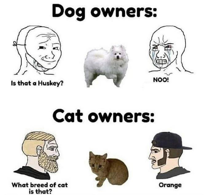 jschlatt's tweet image. post this for free likes