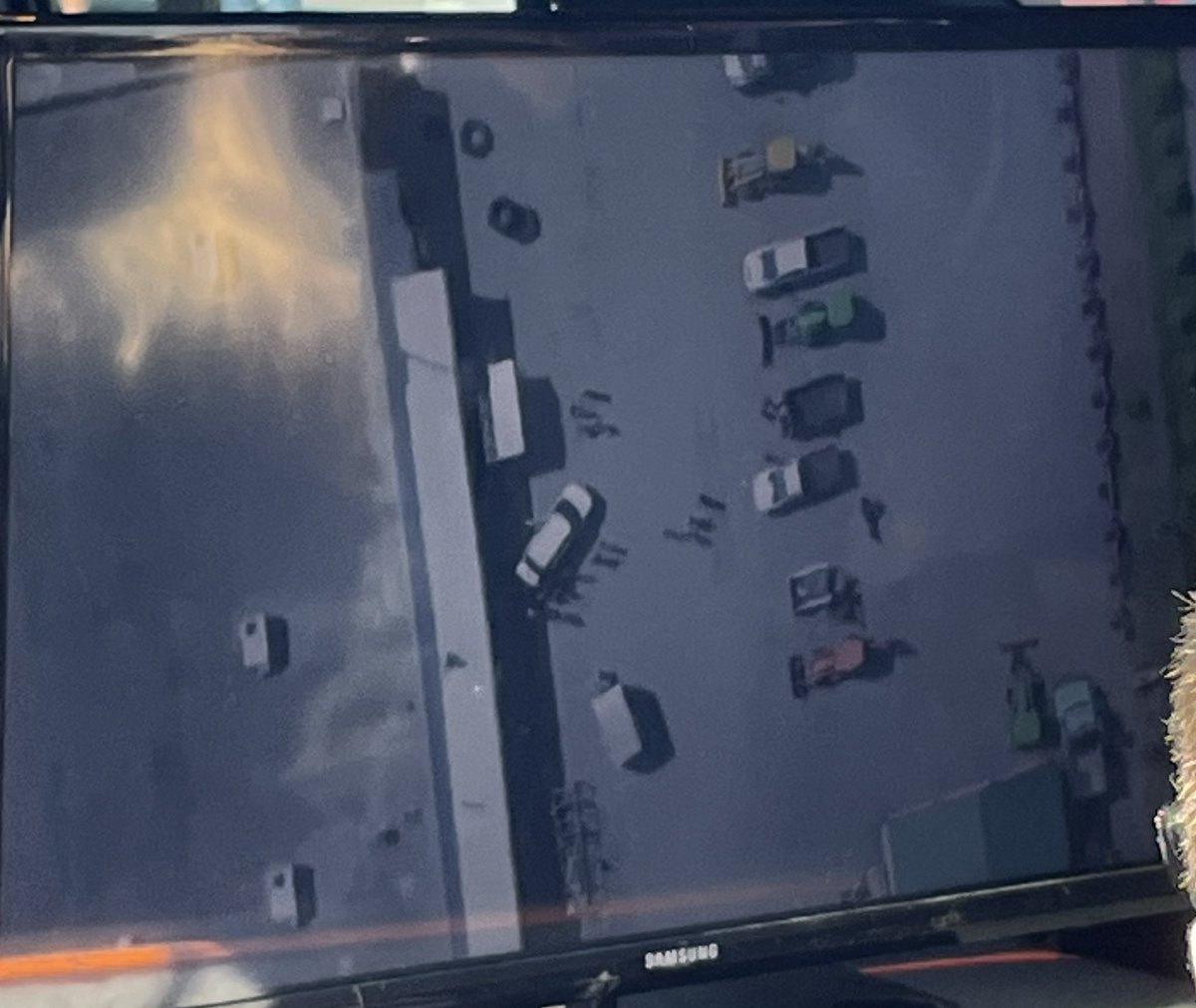 David Hanks tweet media