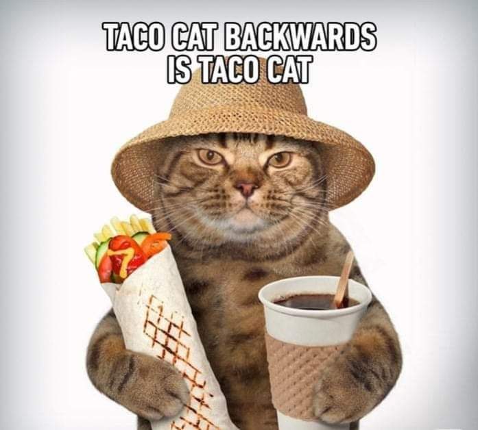 Hey! I'm on boom 99.7 tonight! <a href="/boomottawa/">boom 99.7</a> #Ottawa #radio