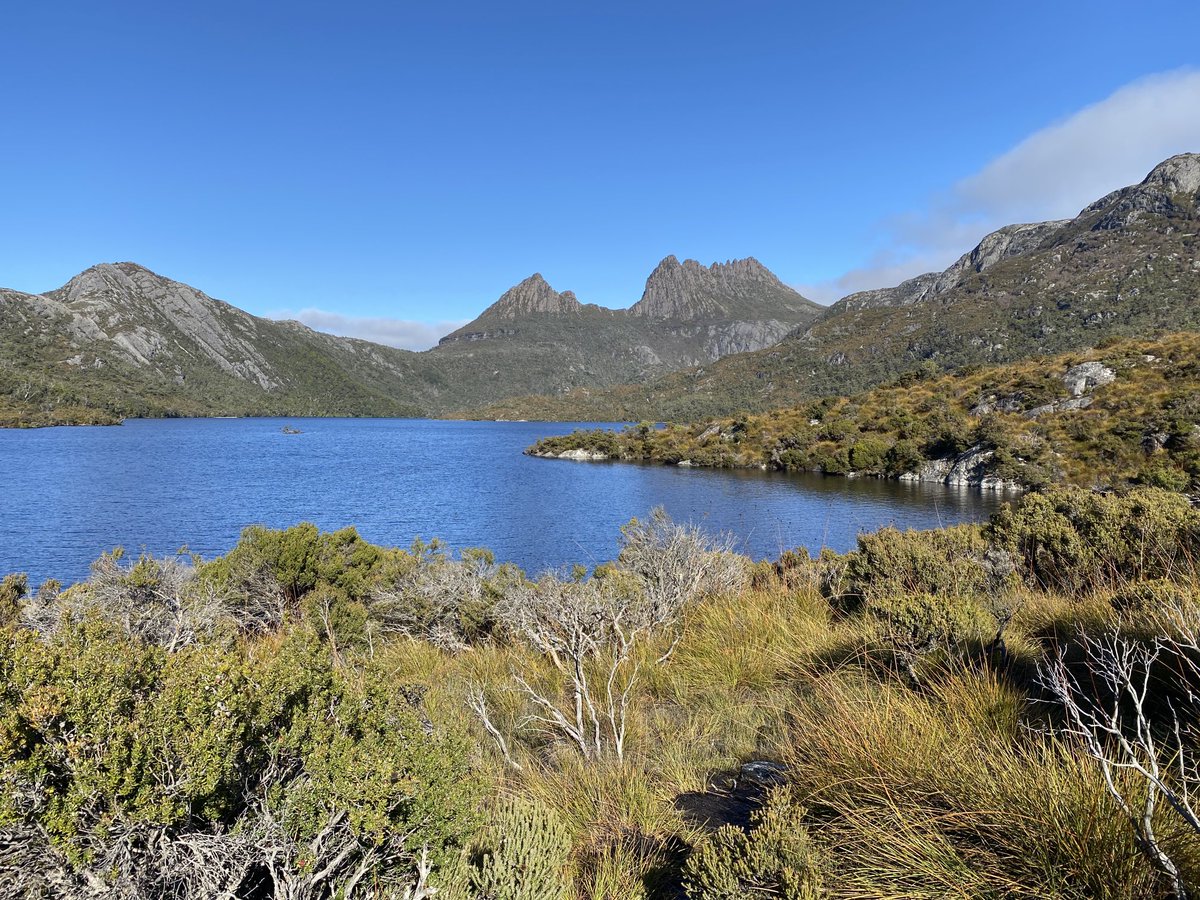 Surely doesn’t get much better than this #cradle365