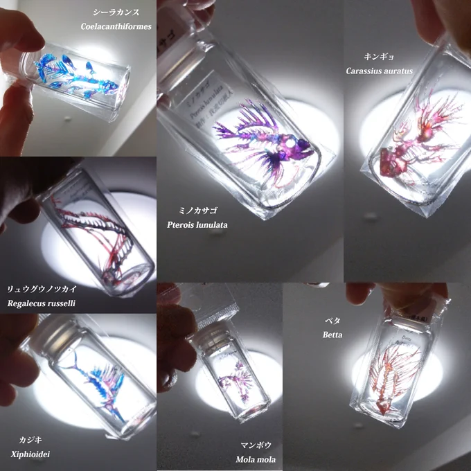 #刺さる人に届けばいい  透明標本風の切紙