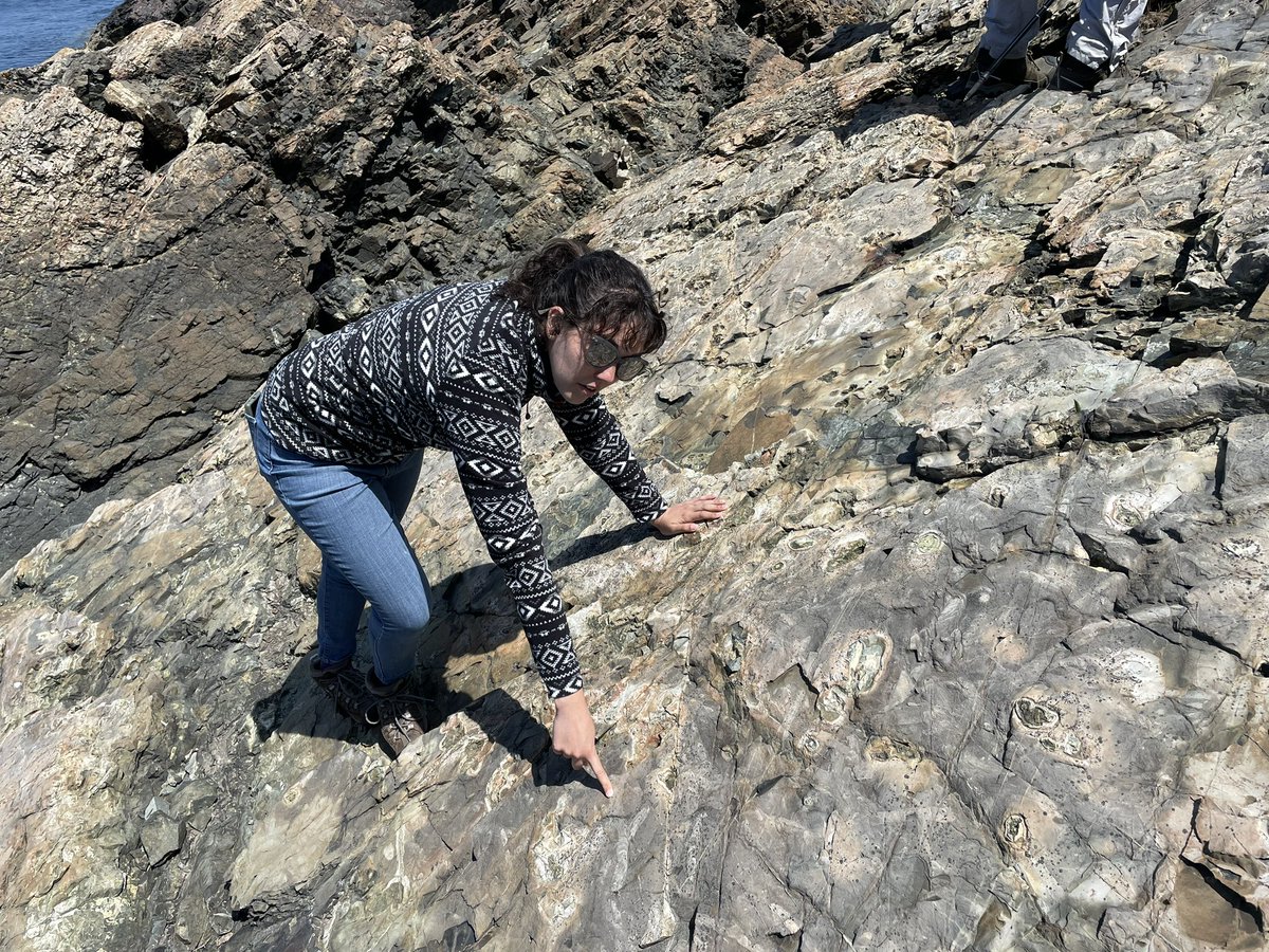 AlisaBokulich's tweet photo. Amazing Phi-Geo fieldtrip led by wonderful @EthanRockStory (TY!) covering 500 million yrs of Earth history, incl Squantum Tilite, Roxbury Conglomerate, Nahant's Teichichnus trace fossils &amp; early Cambrian shelly fossils, ending with Jurassic rift  &amp; pano view Boston Basin 😍 https://t.co/JmHR153zyd