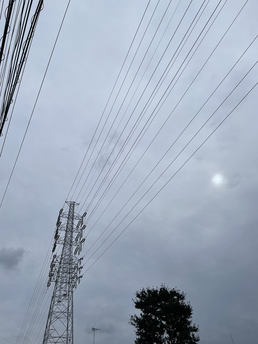 sumomo__02's tweet photo. 5/18
朝散歩、雨が降る前に☔️ https://t.co/cakEcp68gP