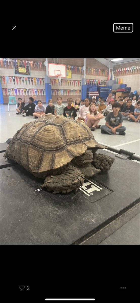 Roth Elementary tweet media