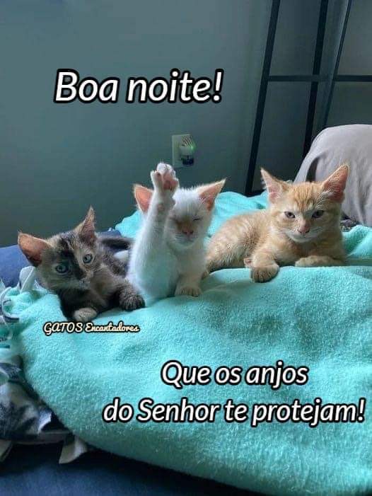 @leilasbsantos @AnaMColledan @OrandoVoce @ruivademaringa @odoguxo @Jemaco40 @ajramora28 @laiane020 @valderezzsantos @JOELTADEU42 @Eunicem02740621 @ValriaCruz20 @Cris_Abdalla @JoseRRomero11 @Kamel11821020 @lucasrenovato4 @kiko49ers1 @EdCruz38273764 @yyamashiro2 @MeneseCaline Pessoa linda 🫶