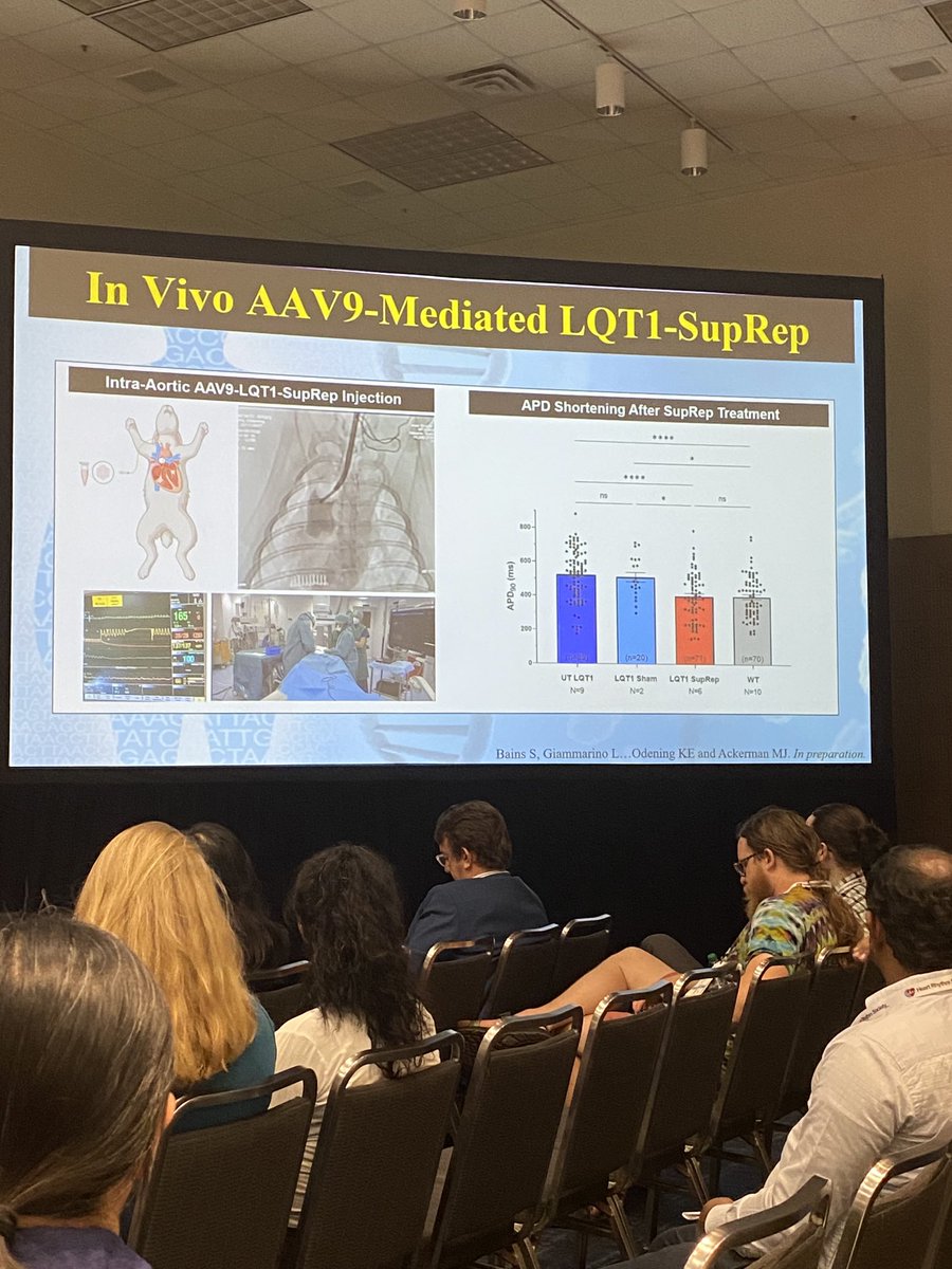 MJAckermanMDPhD's tweet photo. So glad that I got to #HRS2023 just in time to watch my @MayoClinic MD/PhD student @sahejbains give an update from last yr’s young investigator award from the #Cardiac EP Society on our #gene #therapy program for #LQTS. Spoiler Alert-it’s working in the rabbit 🤗 https://t.co/4iMnz2XCTL