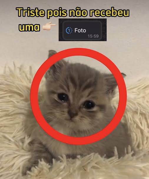 odeiootaco's tweet image. 