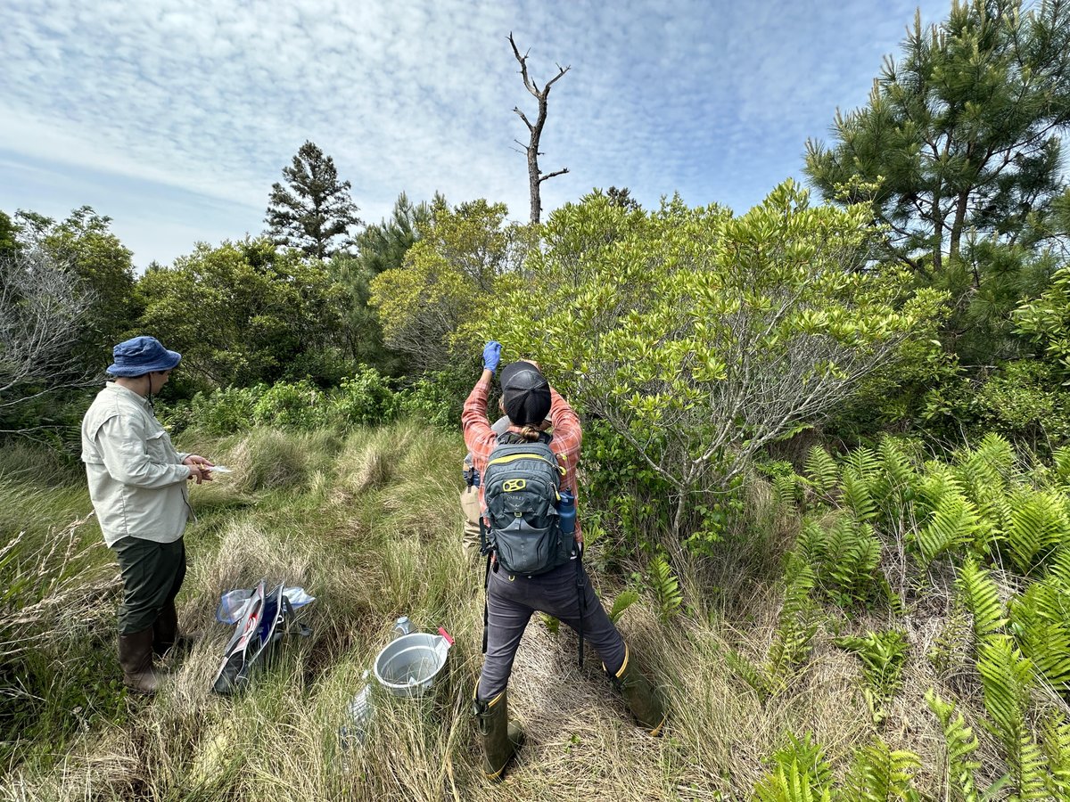 TimBoyumTV's tweet photo. Been on the road for Front Porch Politics across the state the past few days. #ComingSoon
I am so blessed to see so much of this great state and share the stories with you!
@abreezeclayton @WhatleyNCGOP @NCDemParty @NCGOP #ghostforests https://t.co/B5kLbgOxxJ
