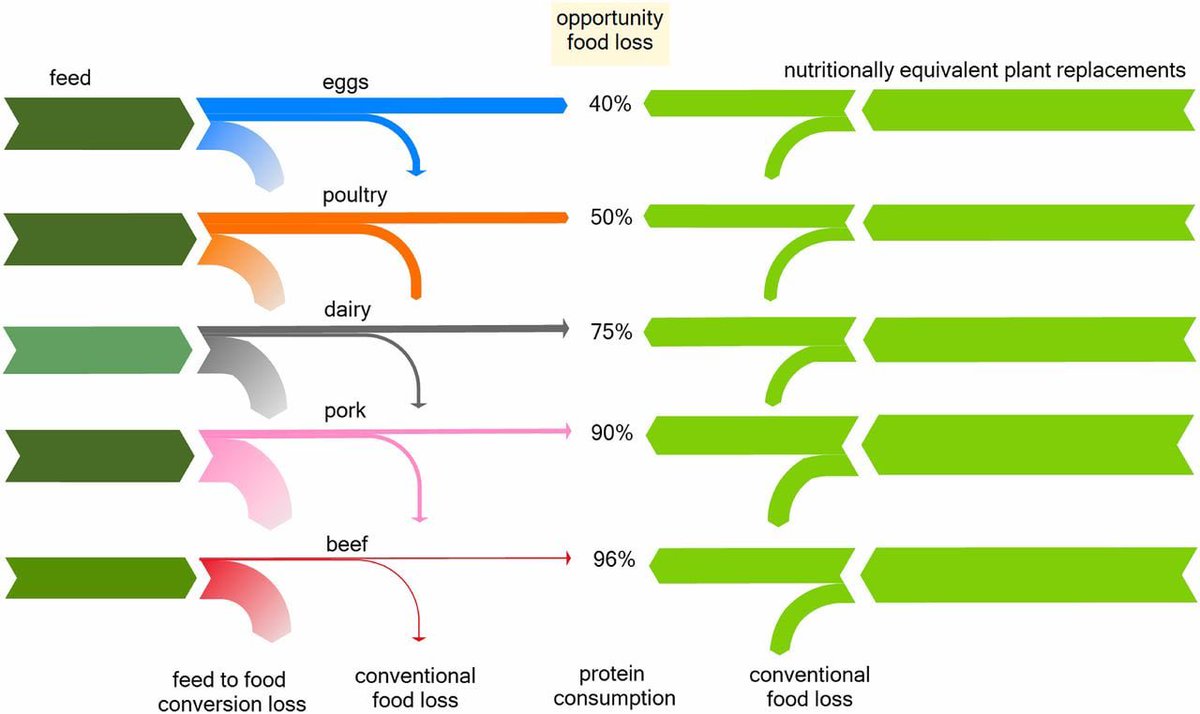 Animal farming is the biggest source of food waste in the world.

For every 100 calories input to animal farms, only 12 come out as food. The rest are converted to heat and excrement.

Calorically, this metabolic waste exceeds all food discards.

pnas.org/doi/10.1073/pn…
