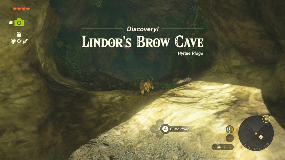 Veisvoid's tweet image. #TearsOfTheKingdom #Zelda #NintendoSwitch