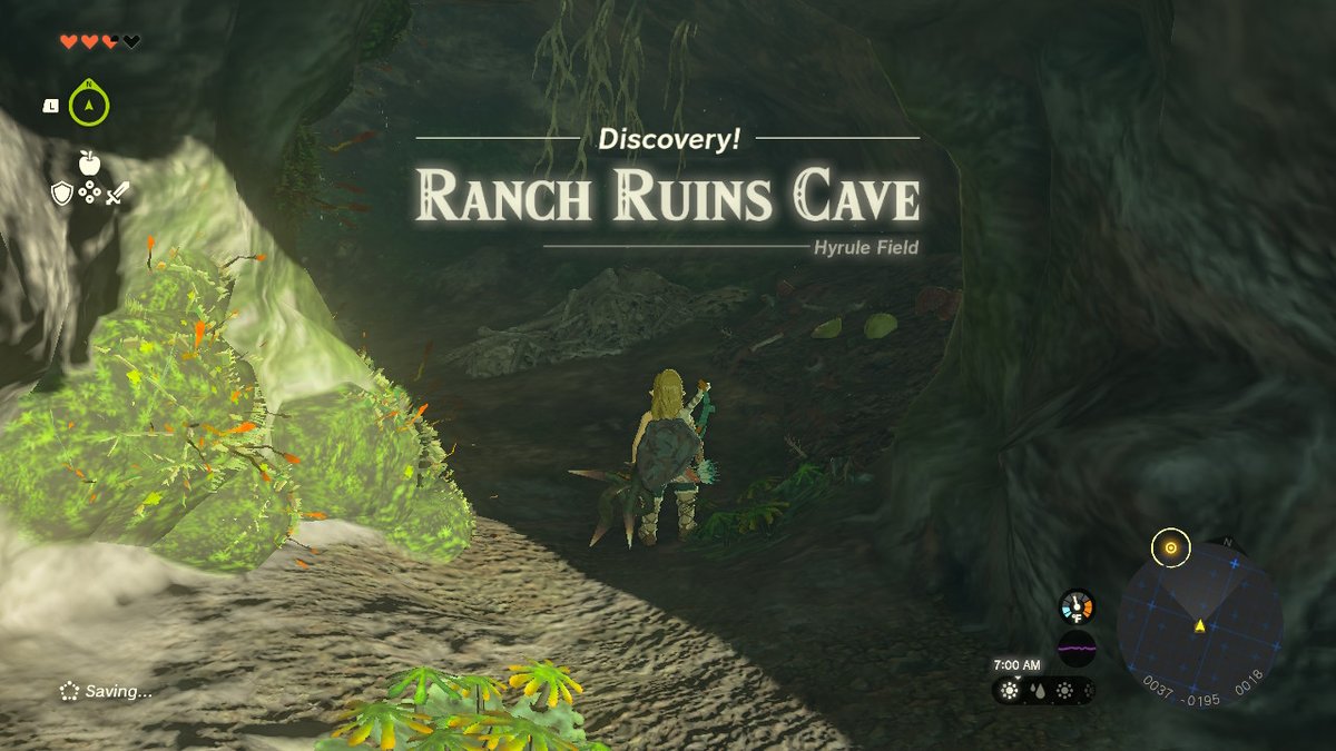 Veisvoid's tweet image. #TearsOfTheKingdom #Zelda #NintendoSwitch