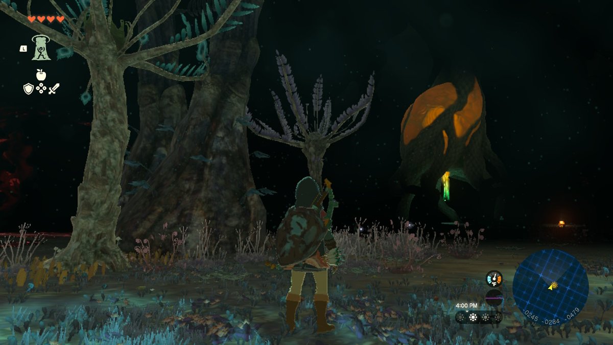 Veisvoid's tweet image. #TearsOfTheKingdom #Zelda #NintendoSwitch